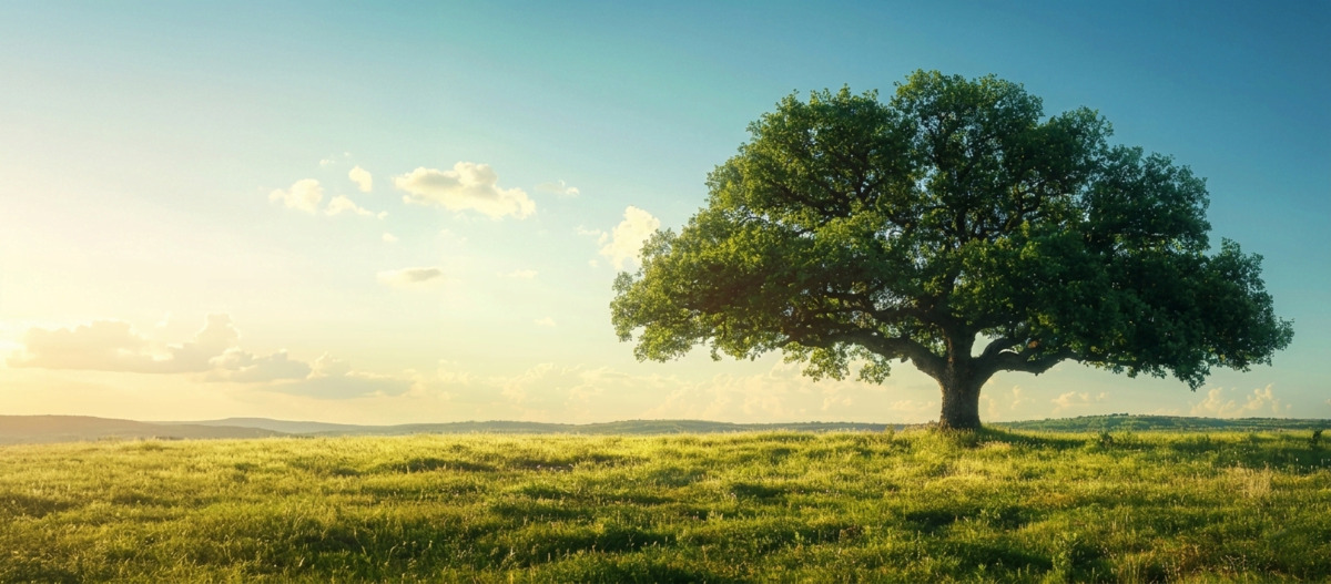 Опыт работы